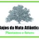 Anjos da Mata Atlântica